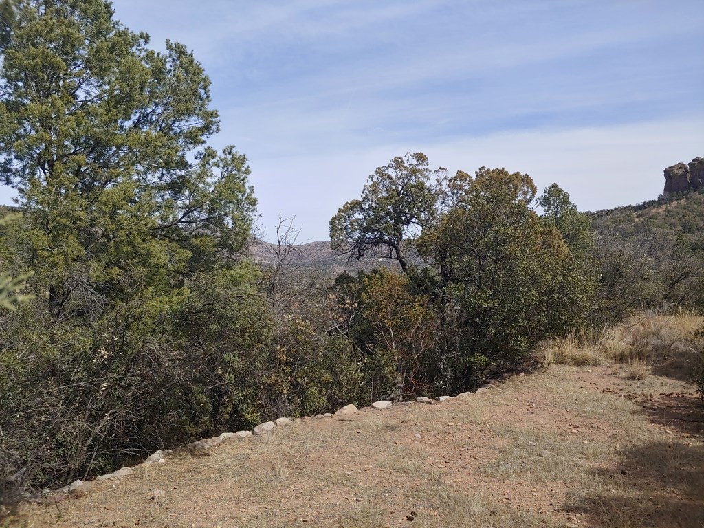 316 Cochise Canyon, Fort Davis, Texas image 6