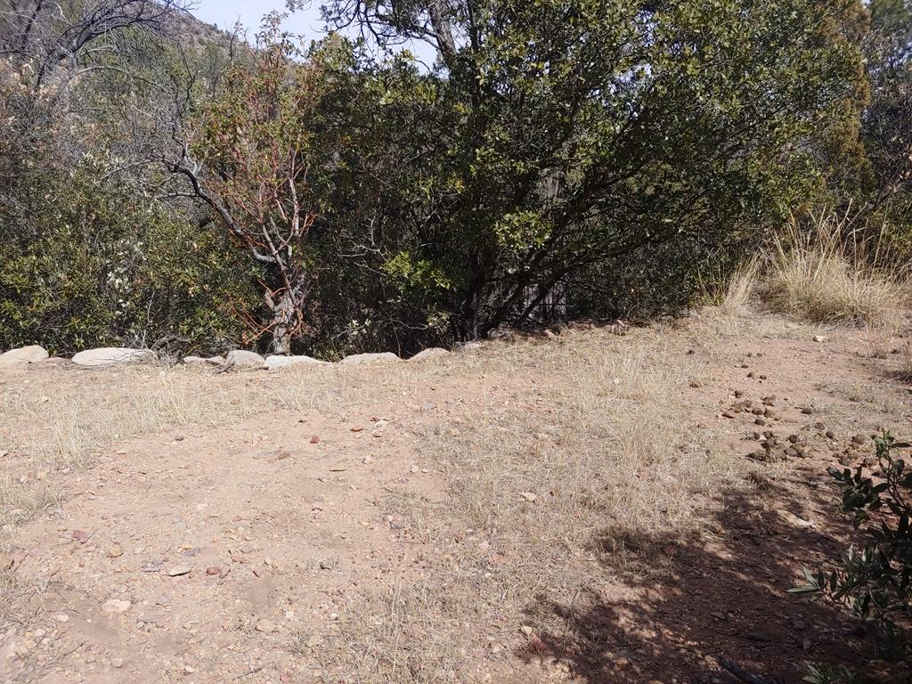 316 Cochise Canyon, Fort Davis, Texas image 18