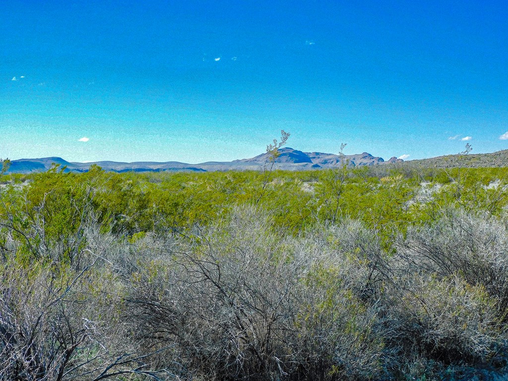 19795 Reimers Road, Terlingua, Texas image 26