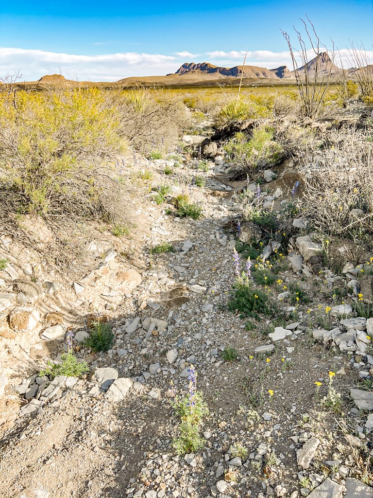 19795 Reimers Road, Terlingua, Texas image 50