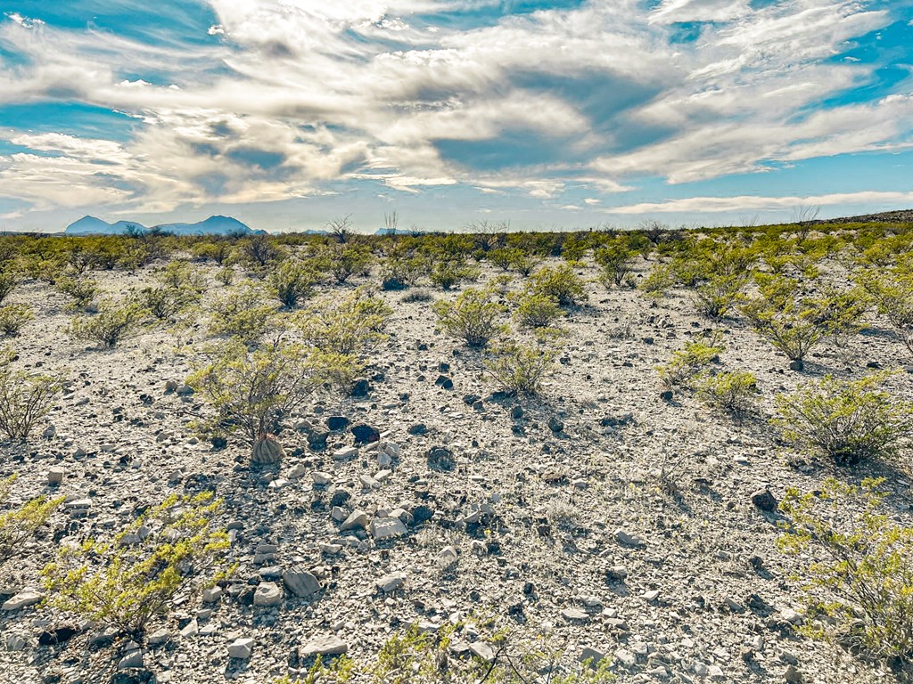 19795 Reimers Road, Terlingua, Texas image 39