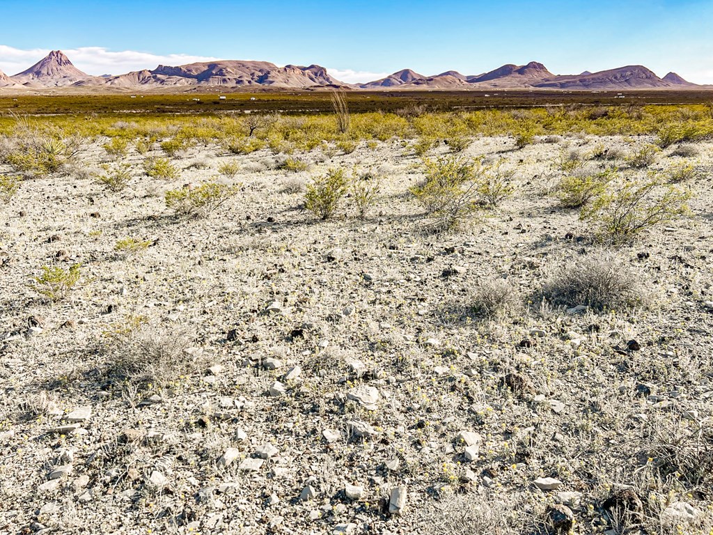 19795 Reimers Road, Terlingua, Texas image 46