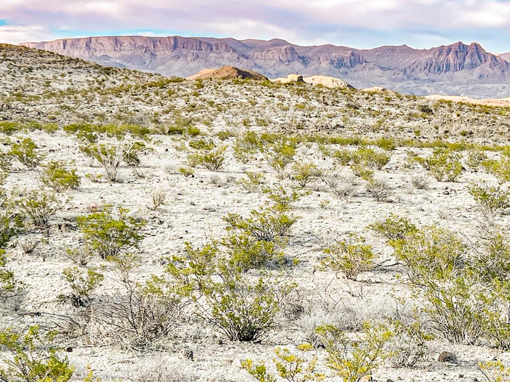 19795 Reimers Road, Terlingua, Texas image 1