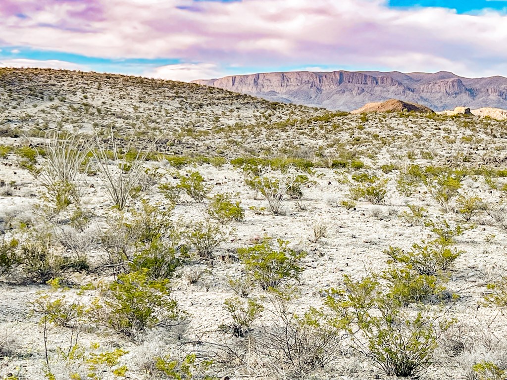 19795 Reimers Road, Terlingua, Texas image 3