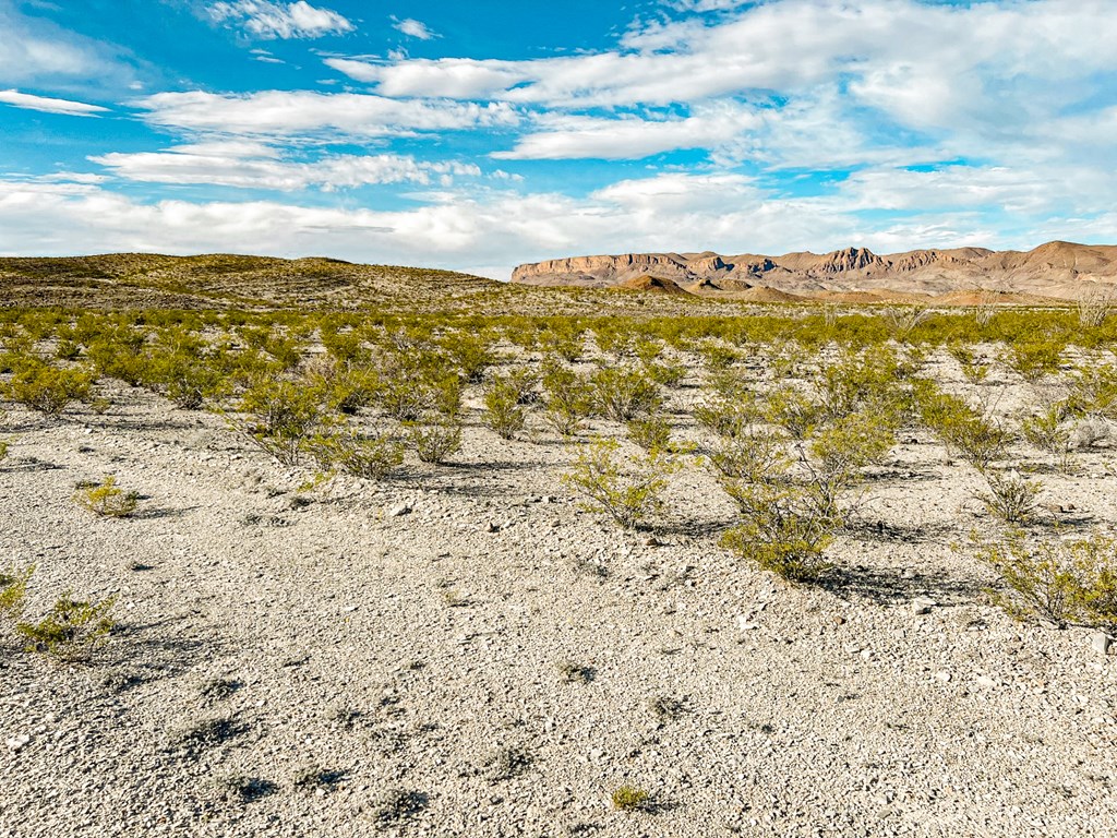 19795 Reimers Road, Terlingua, Texas image 33