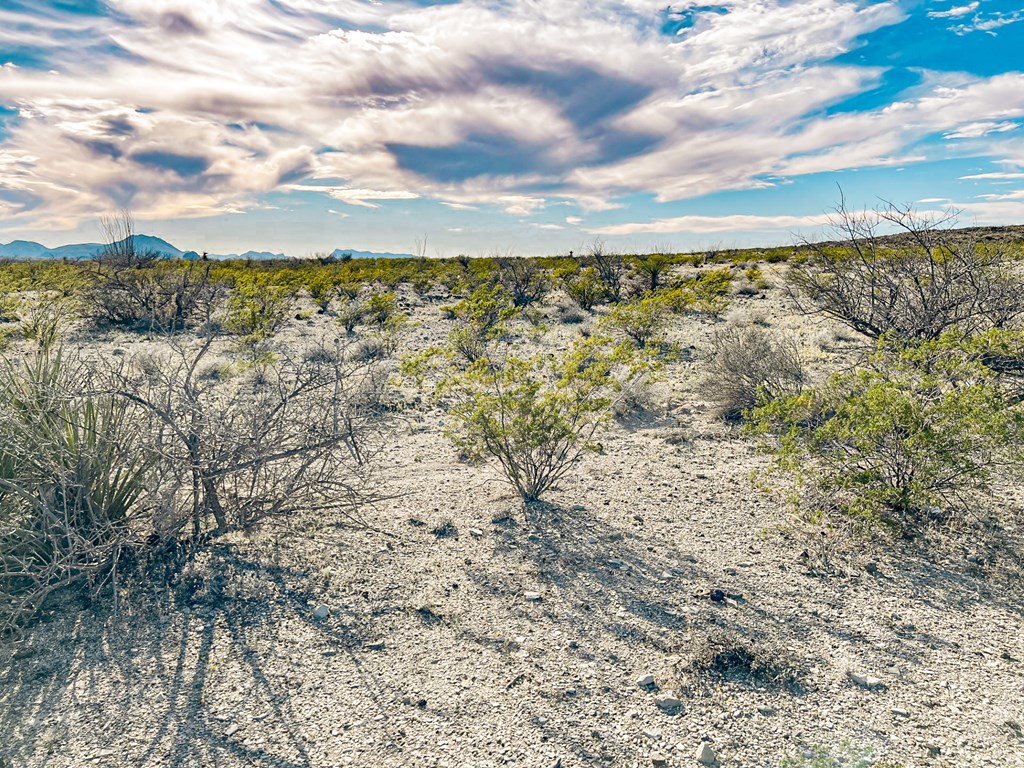 19795 Reimers Road, Terlingua, Texas image 43