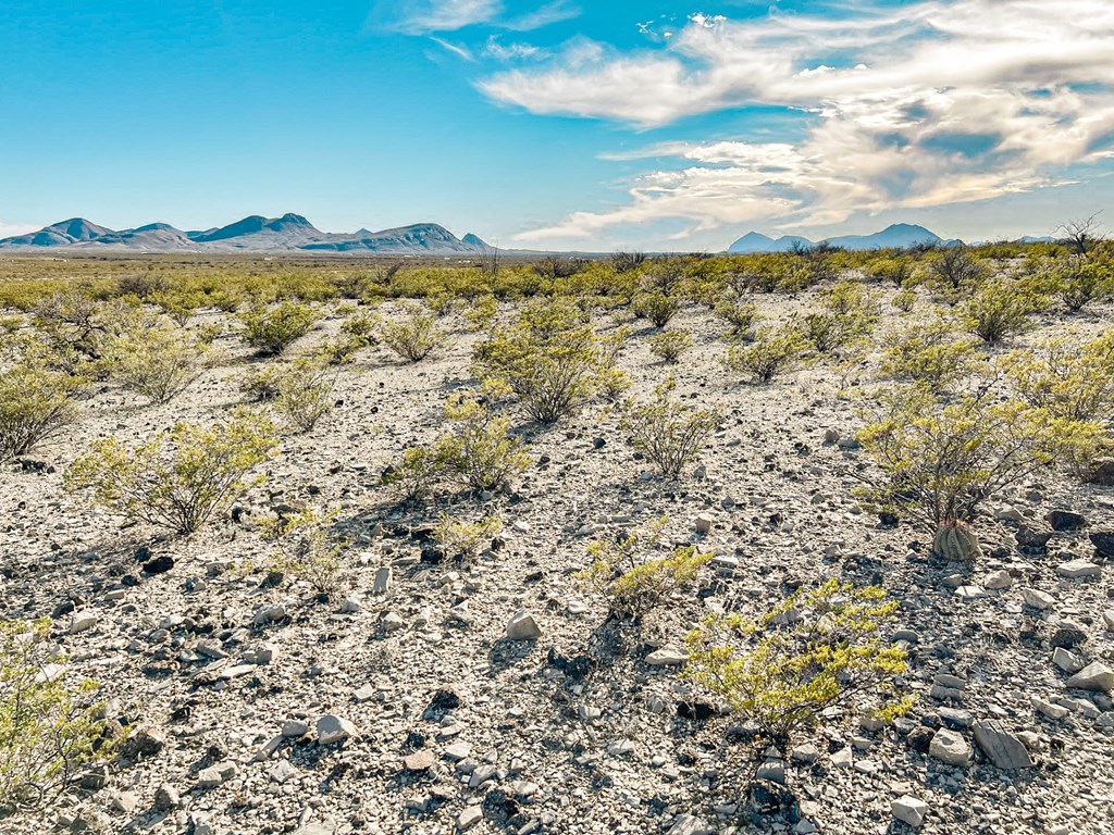 19795 Reimers Road, Terlingua, Texas image 40