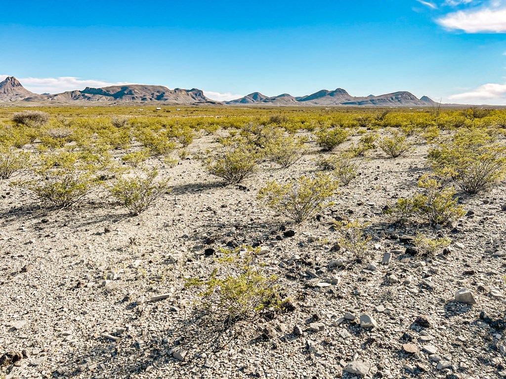 19795 Reimers Road, Terlingua, Texas image 41