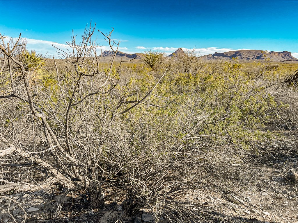 19795 Reimers Road, Terlingua, Texas image 36