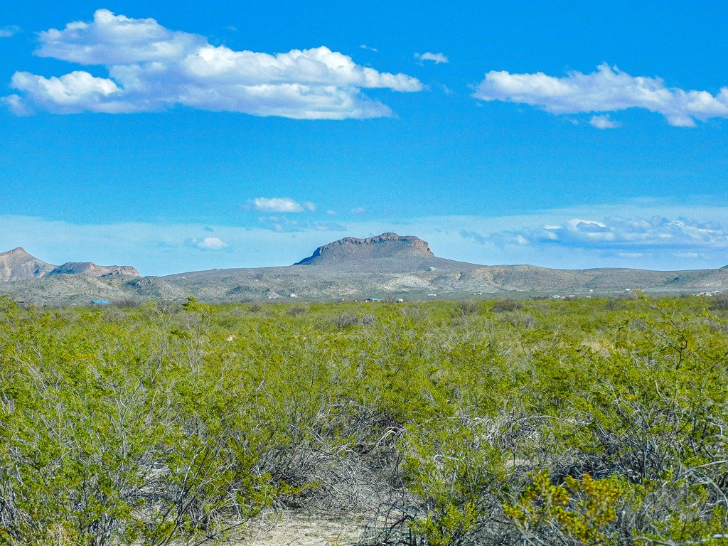 19795 Reimers Road, Terlingua, Texas image 13