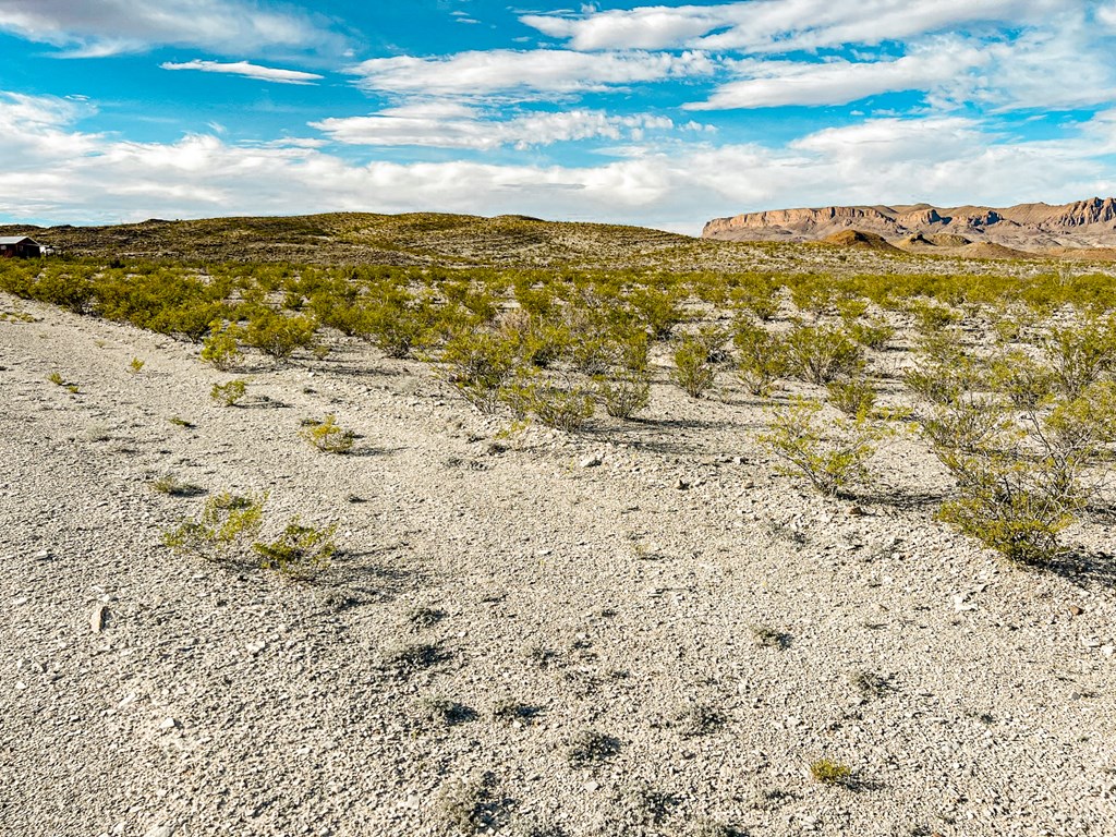 19795 Reimers Road, Terlingua, Texas image 4