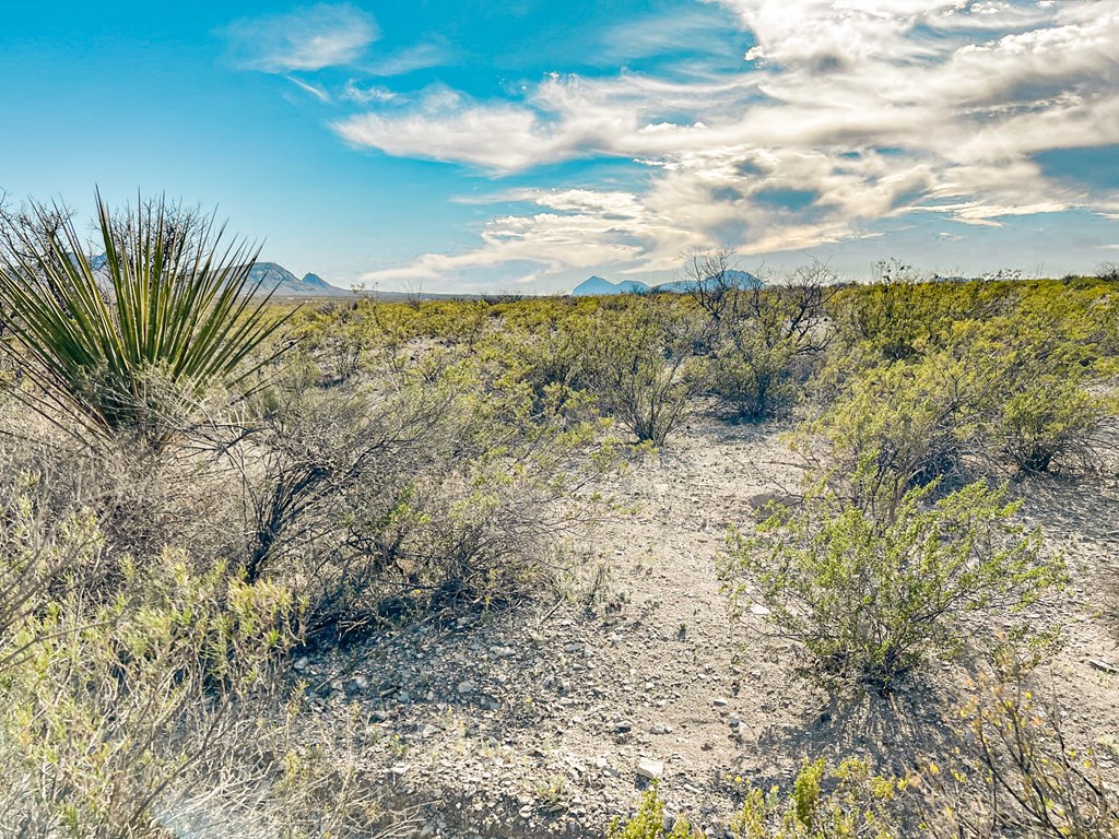 19795 Reimers Road, Terlingua, Texas image 38