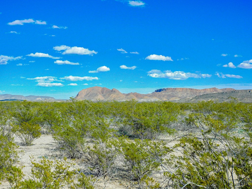 19795 Reimers Road, Terlingua, Texas image 11