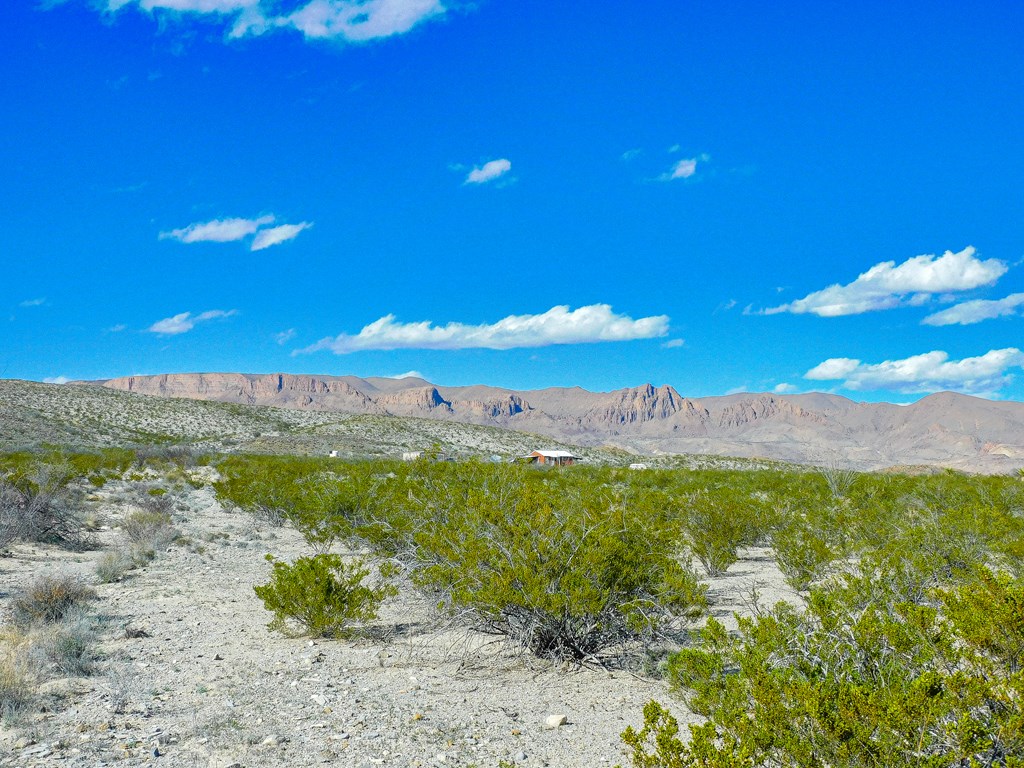 19795 Reimers Road, Terlingua, Texas image 8