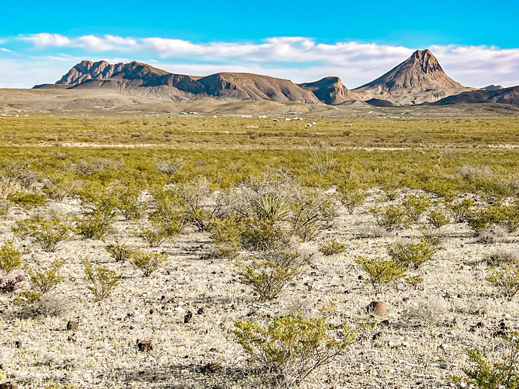 19795 Reimers Road, Terlingua, Texas image 2