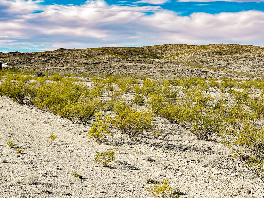 19795 Reimers Road, Terlingua, Texas image 35