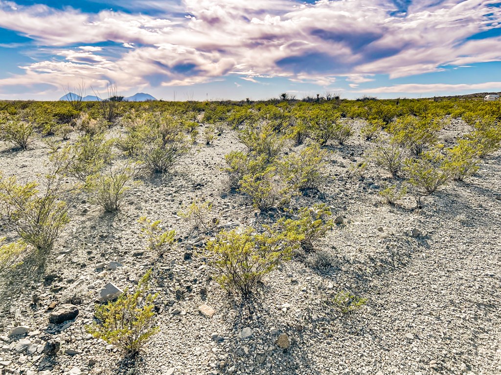 19795 Reimers Road, Terlingua, Texas image 32