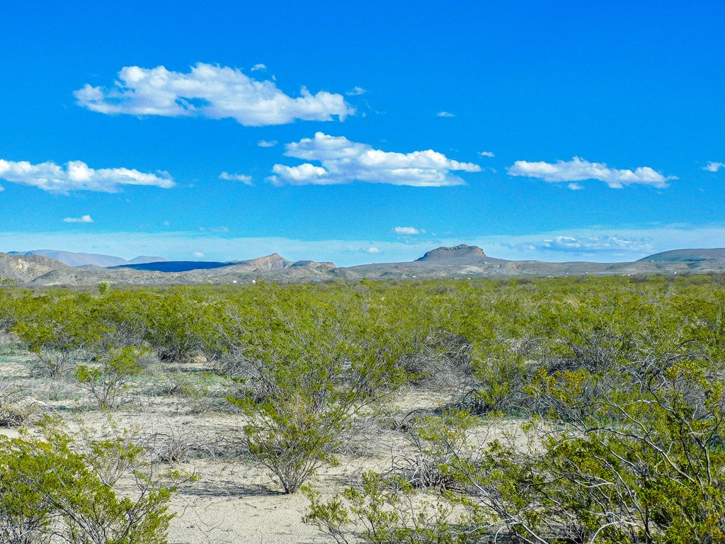 19795 Reimers Road, Terlingua, Texas image 12