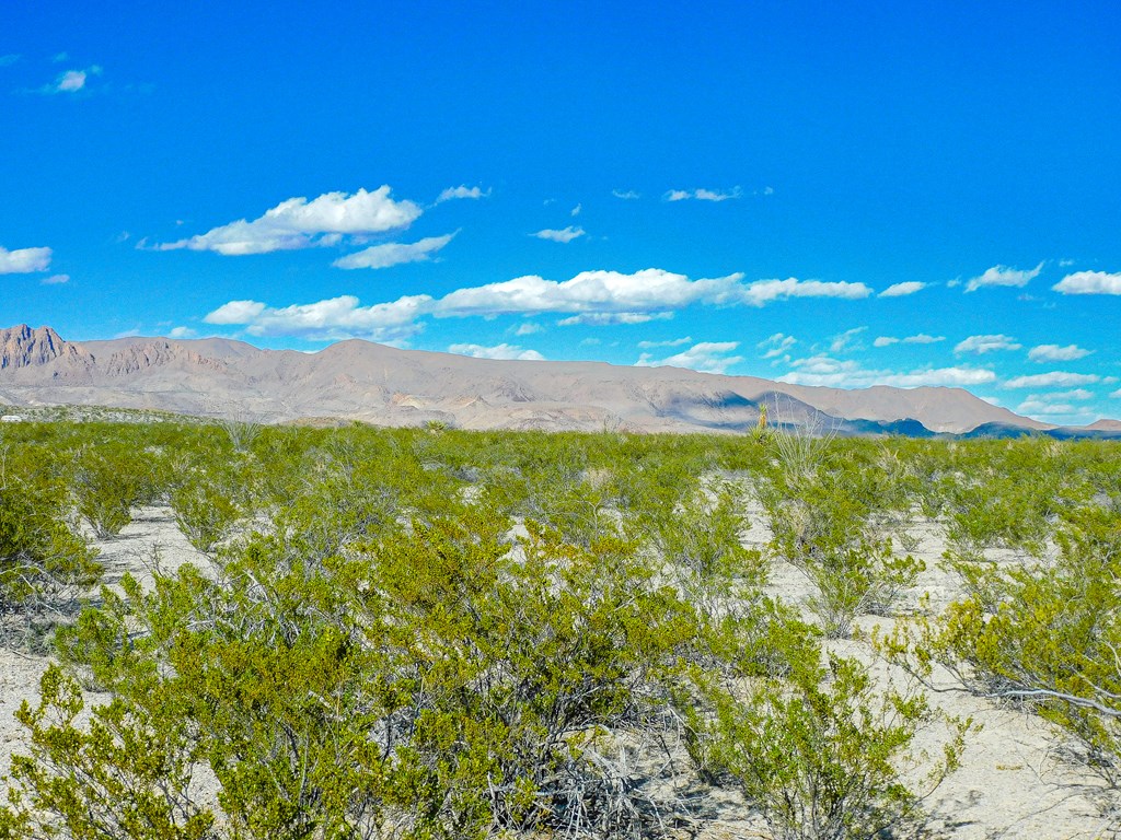 19795 Reimers Road, Terlingua, Texas image 9