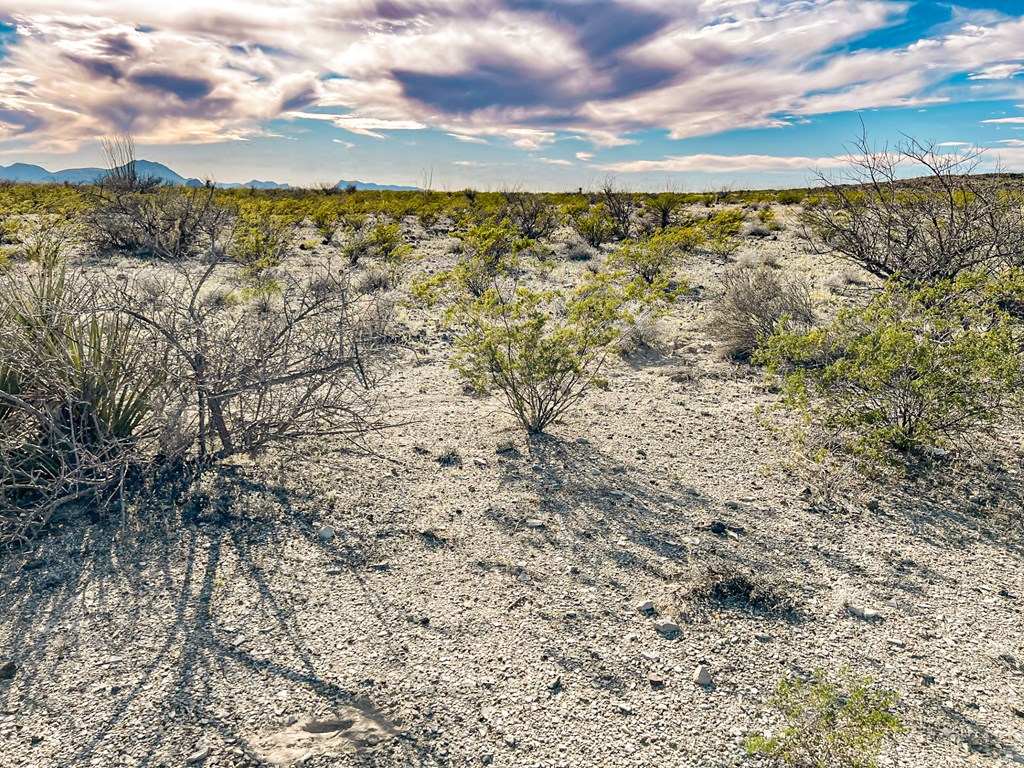 19795 Reimers Road, Terlingua, Texas image 44