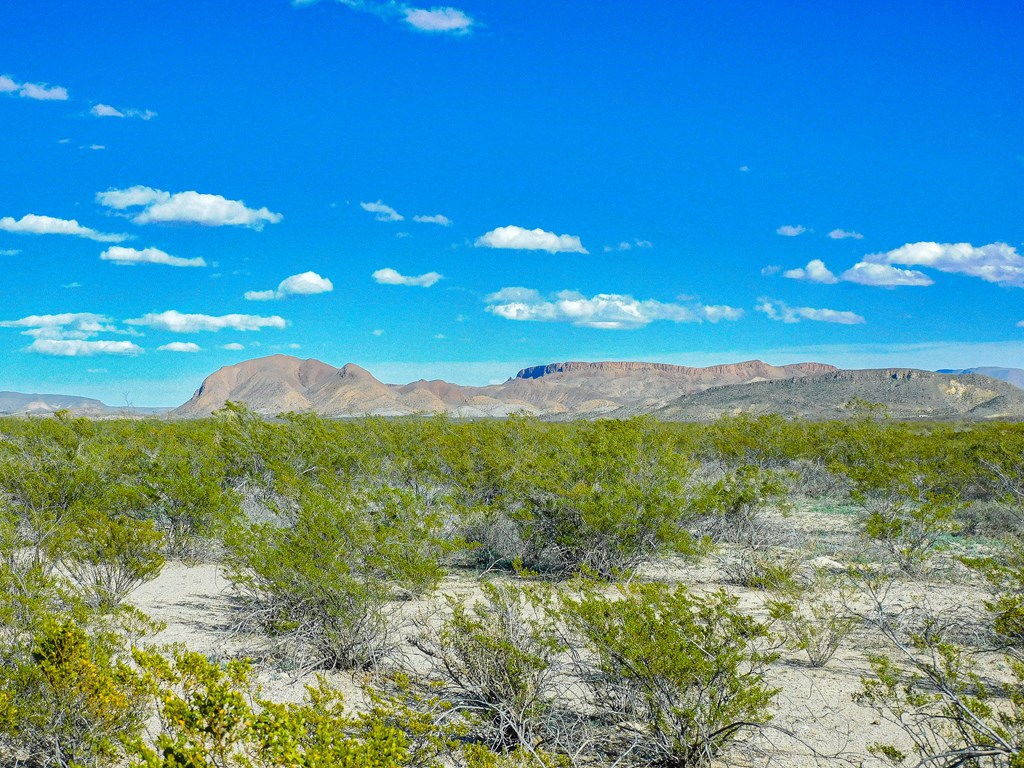 19795 Reimers Road, Terlingua, Texas image 6