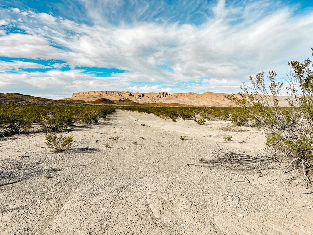 19795 Reimers Road, Terlingua, Texas image 30