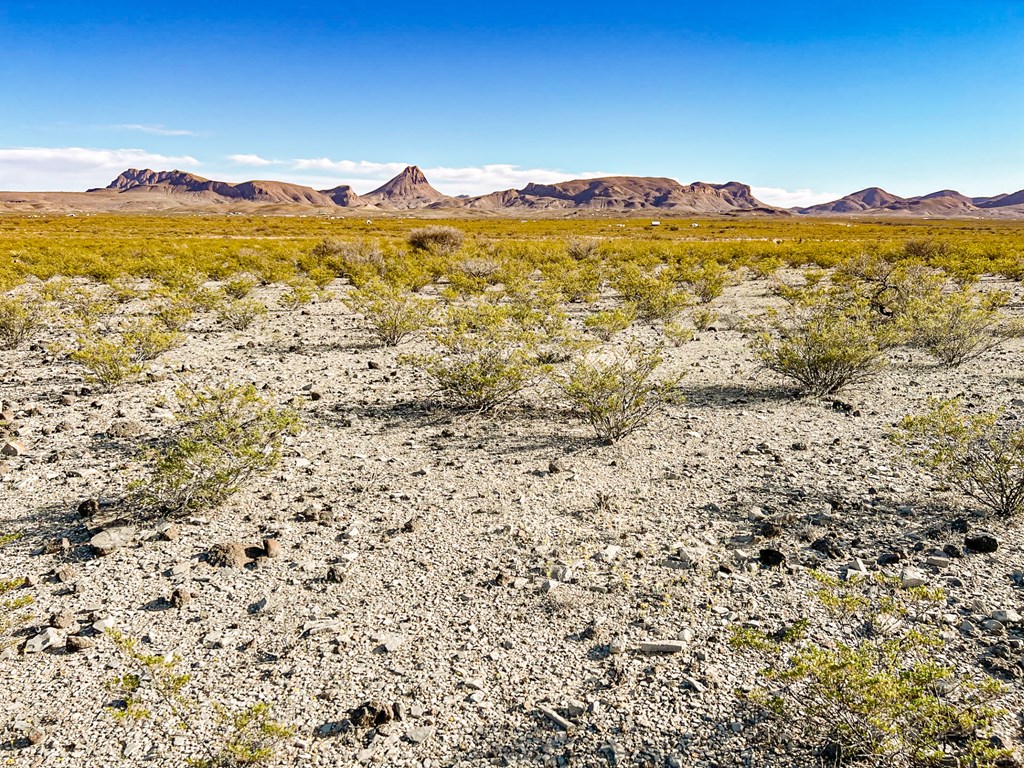 19795 Reimers Road, Terlingua, Texas image 42