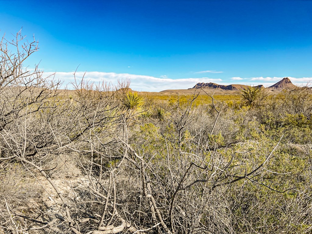 19795 Reimers Road, Terlingua, Texas image 37