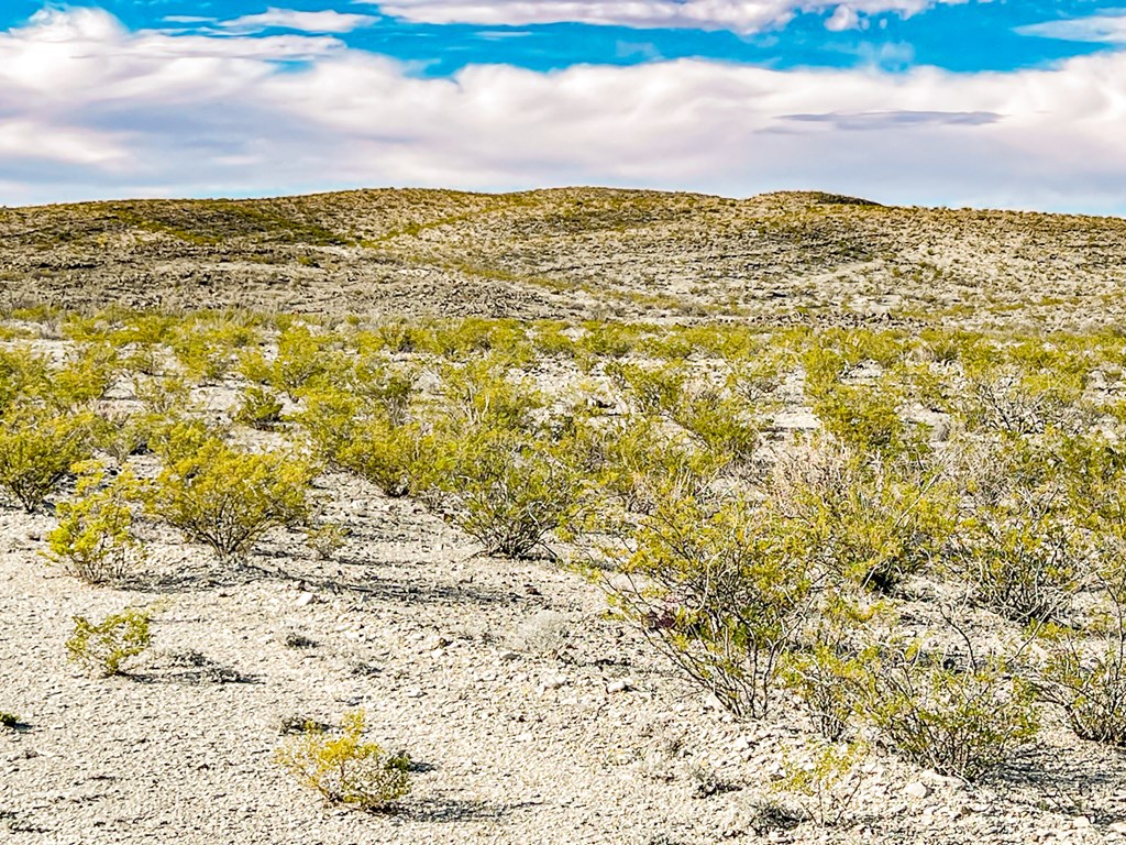 19795 Reimers Road, Terlingua, Texas image 34