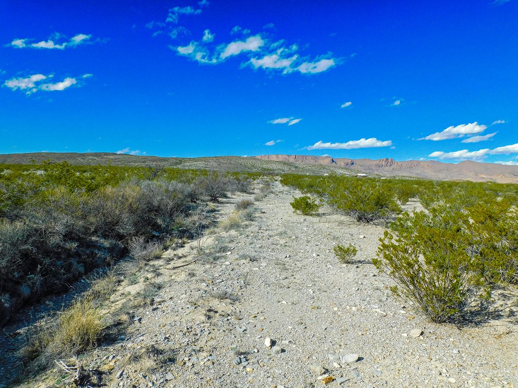 19795 Reimers Road, Terlingua, Texas image 15