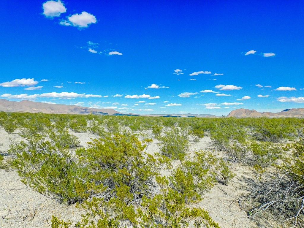 19795 Reimers Road, Terlingua, Texas image 10