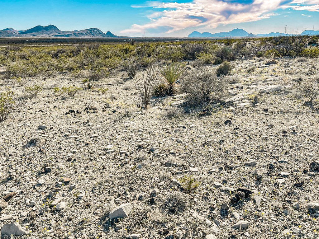 19795 Reimers Road, Terlingua, Texas image 48