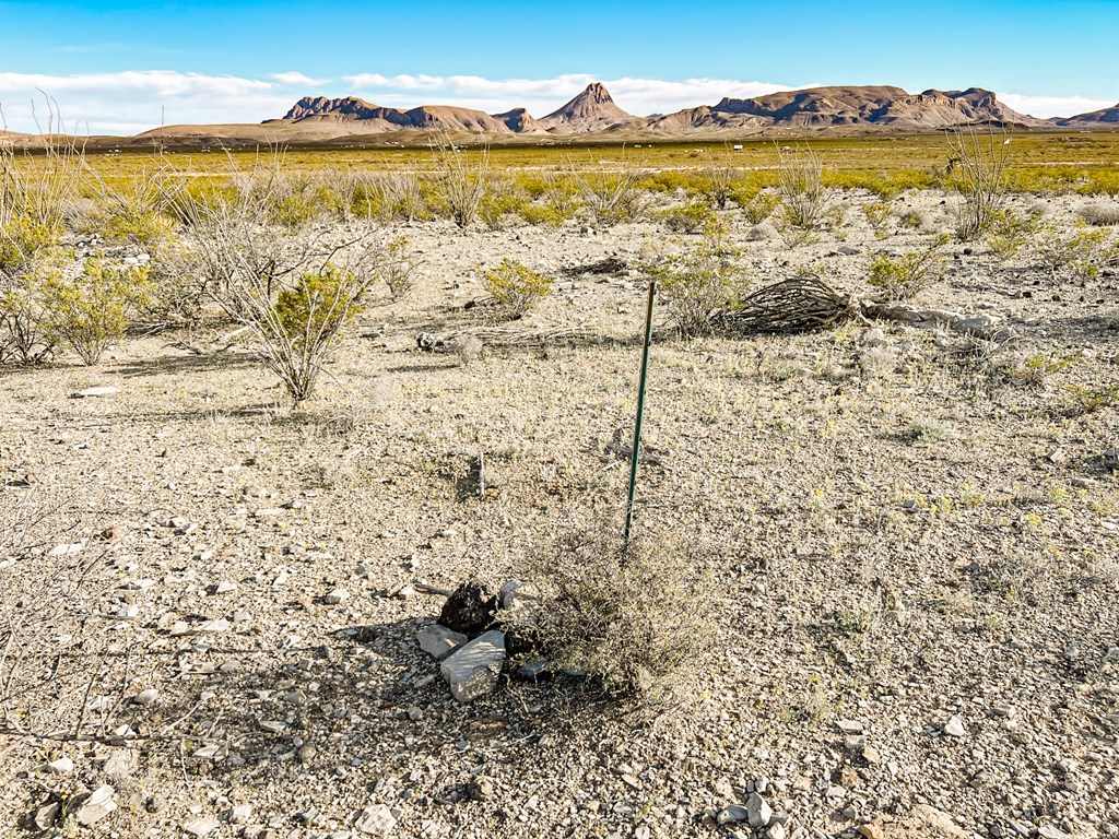 19795 Reimers Road, Terlingua, Texas image 5