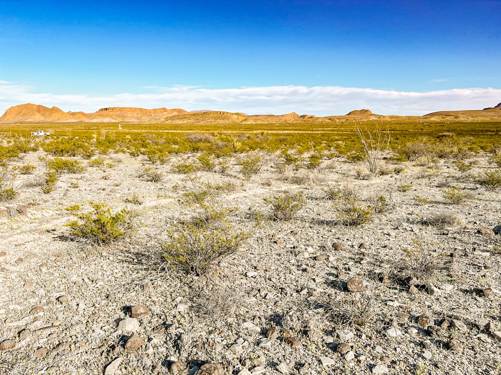 19795 Reimers Road, Terlingua, Texas image 47