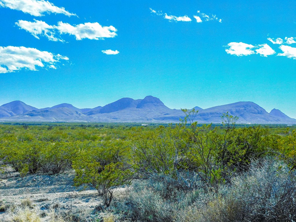 19795 Reimers Road, Terlingua, Texas image 25