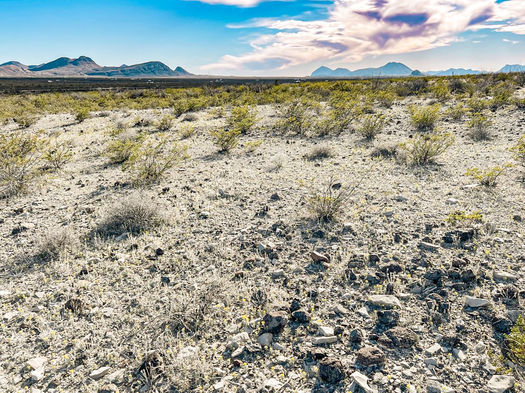 19795 Reimers Road, Terlingua, Texas image 45