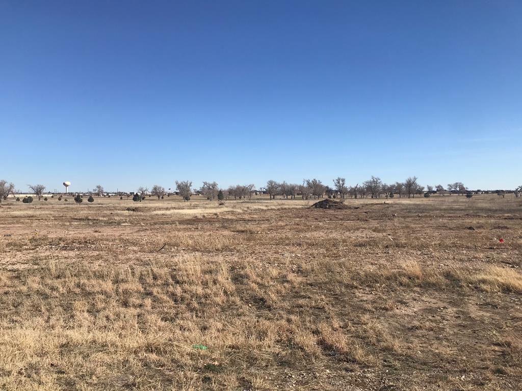 Lt11 TBD N County Road West, Odessa, Texas image 2