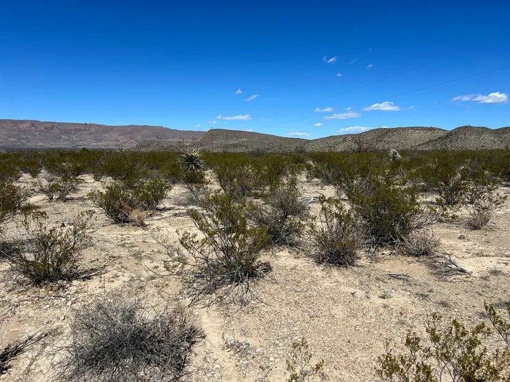 31466a Ringtail Rd, Terlingua, Texas image 2