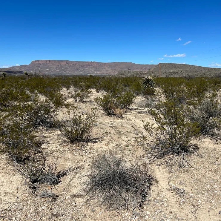 31466a Ringtail Rd, Terlingua, Texas image 6