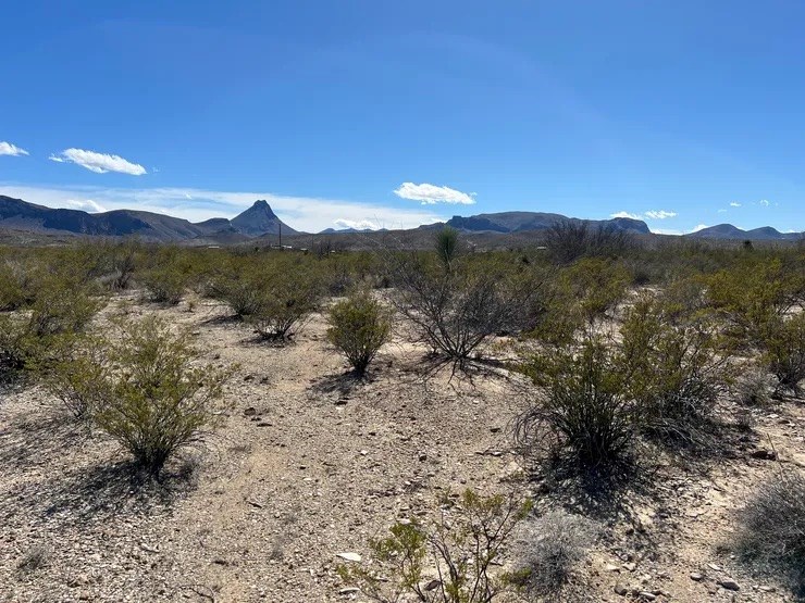 31466a Ringtail Rd, Terlingua, Texas image 5