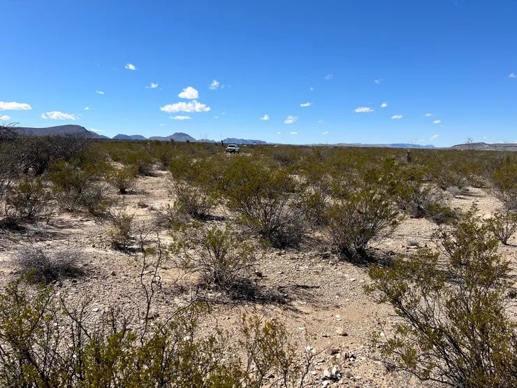 31466a Ringtail Rd, Terlingua, Texas image 3