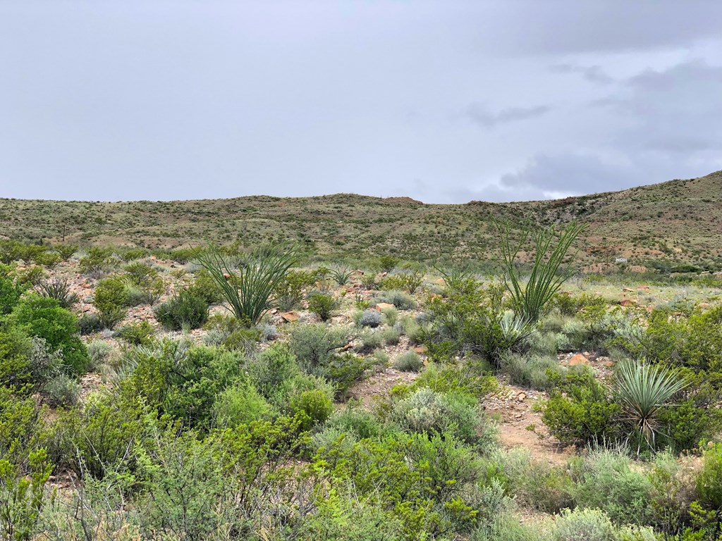 8151 Terlingua Ranch Rd, Terlingua, Texas image 2