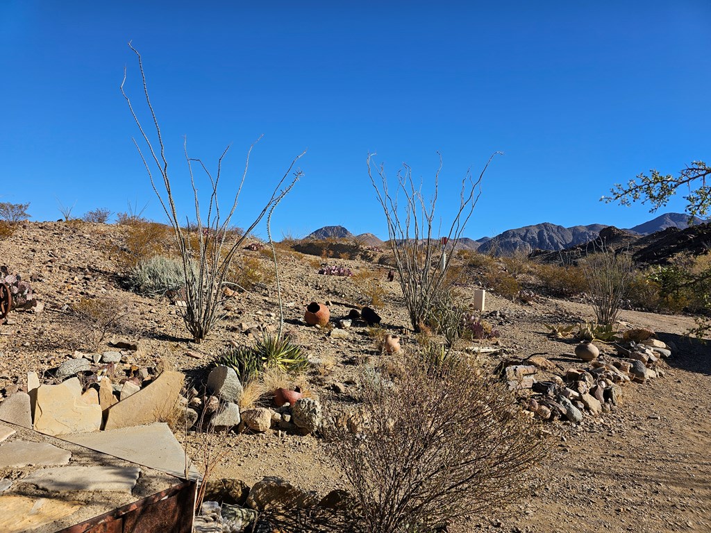 881 Mud Spring Road, Terlingua, Texas image 42