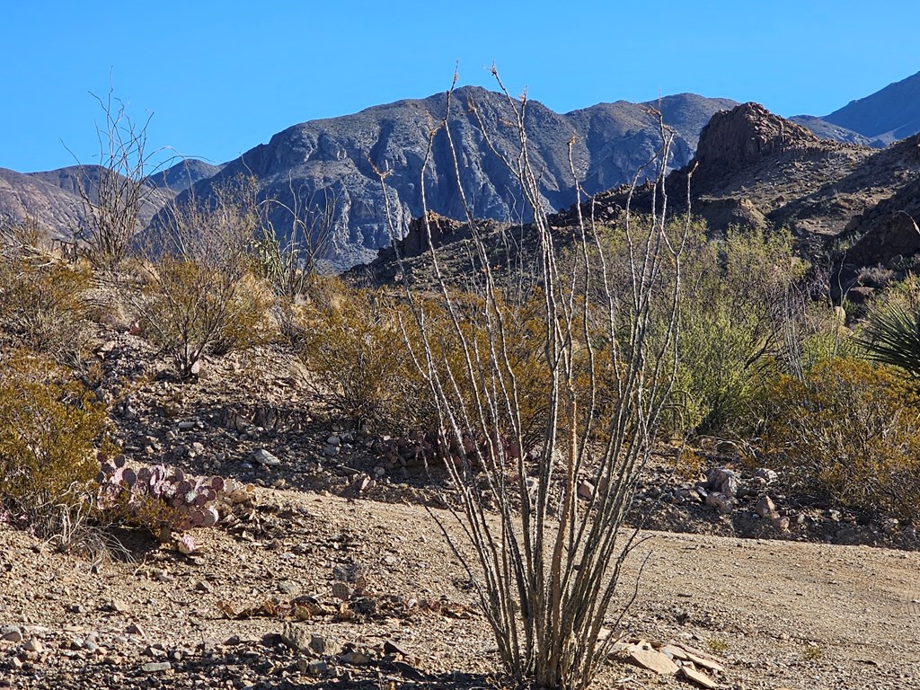 881 Mud Spring Road, Terlingua, Texas image 2