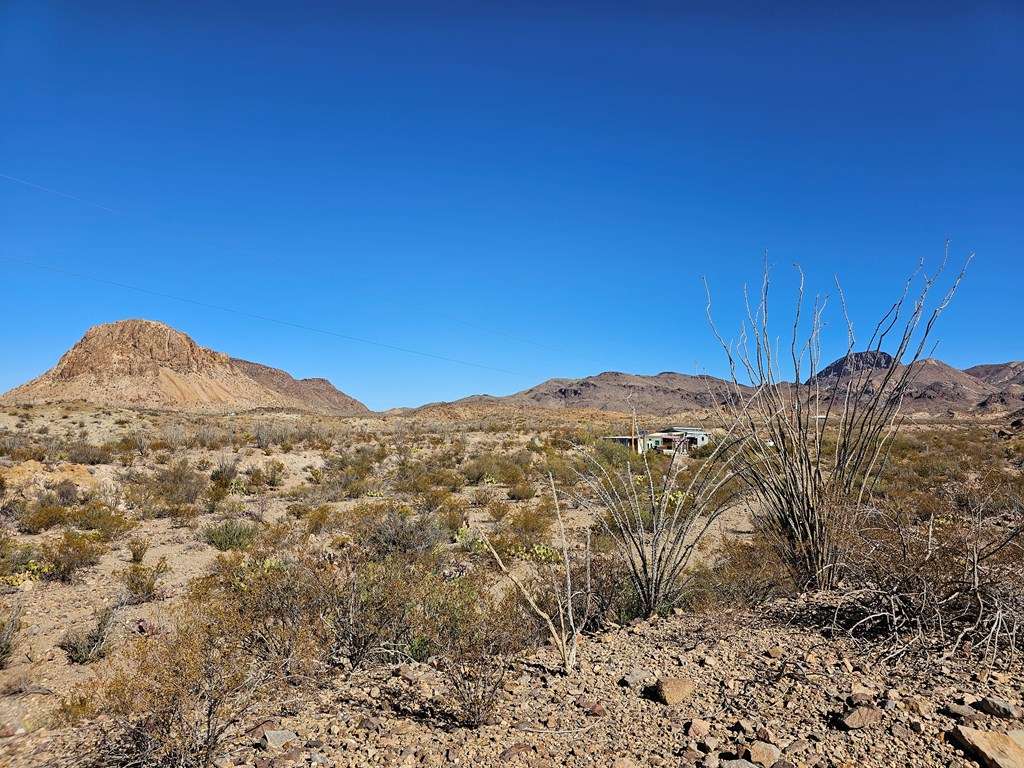 881 Mud Spring Road, Terlingua, Texas image 45