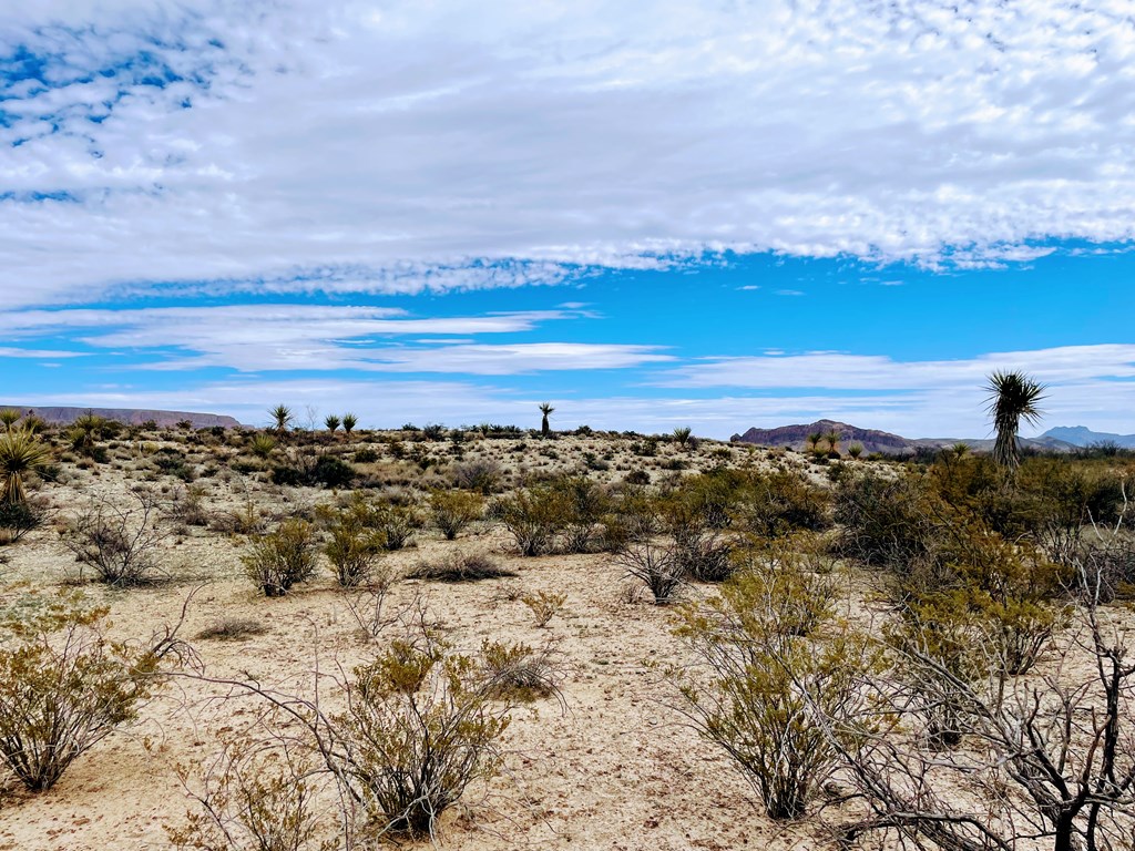 4073 Tennyson Desert Trail, Terlingua, Texas image 5