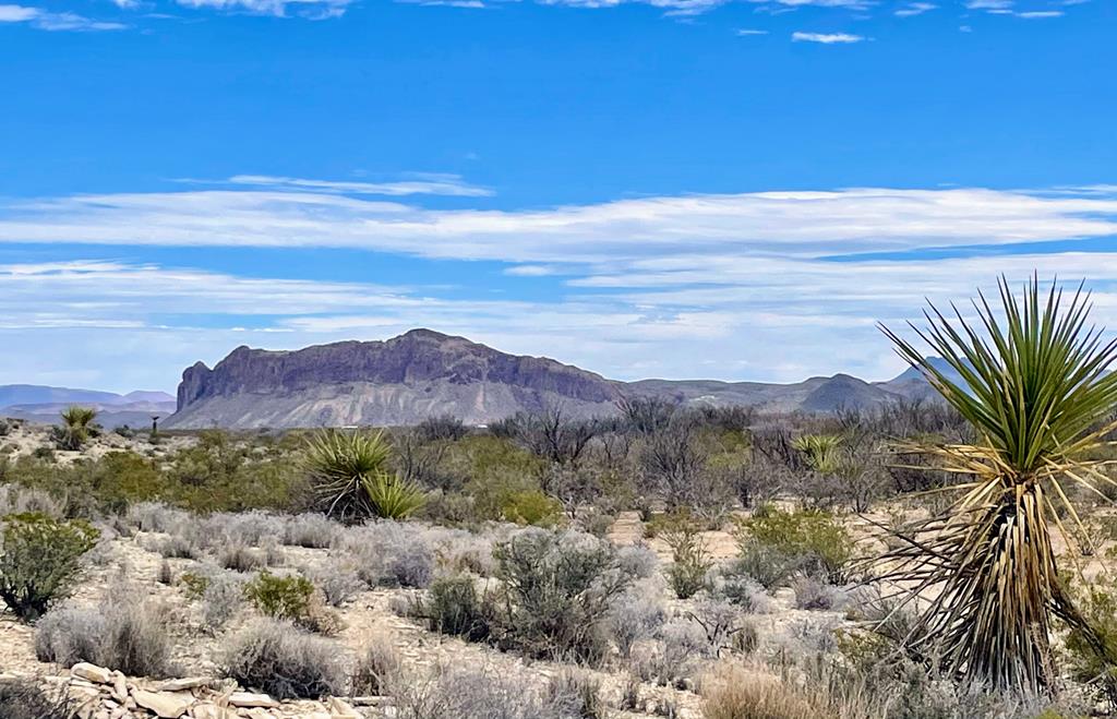 4073 Tennyson Desert Trail, Terlingua, Texas image 1