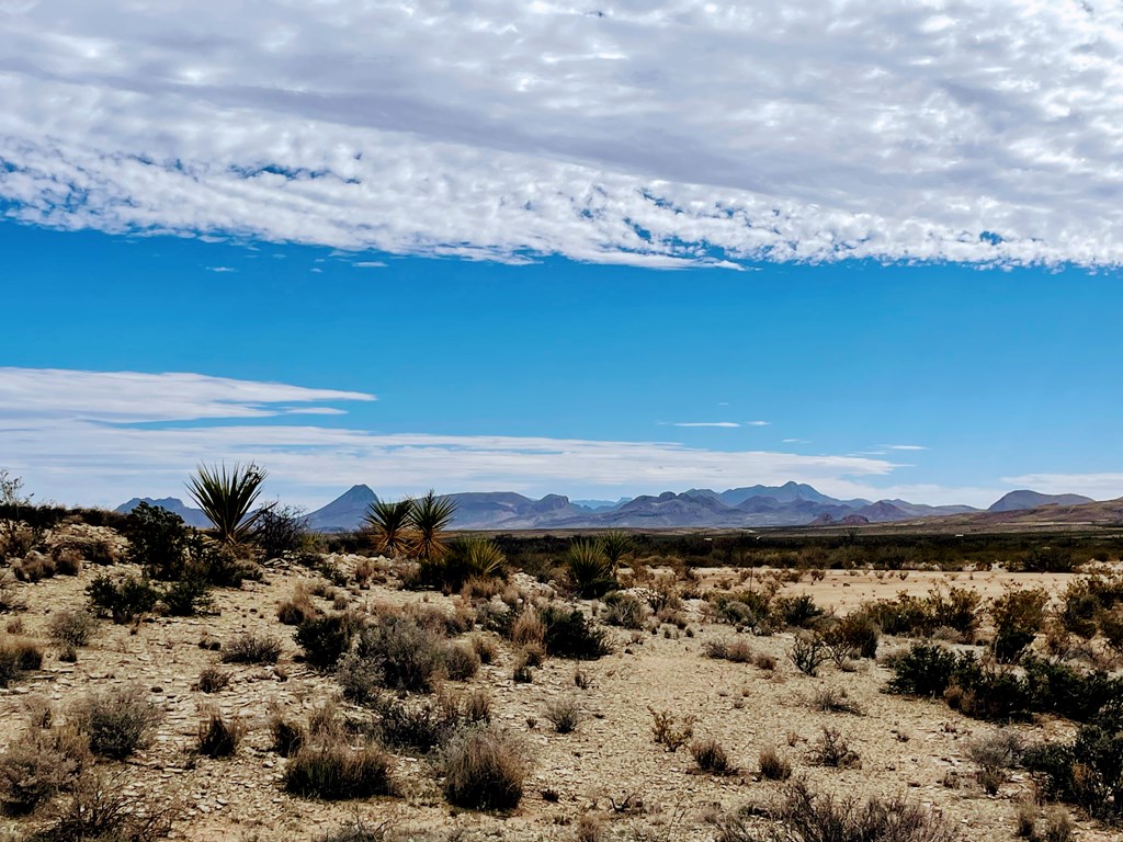 4073 Tennyson Desert Trail, Terlingua, Texas image 6