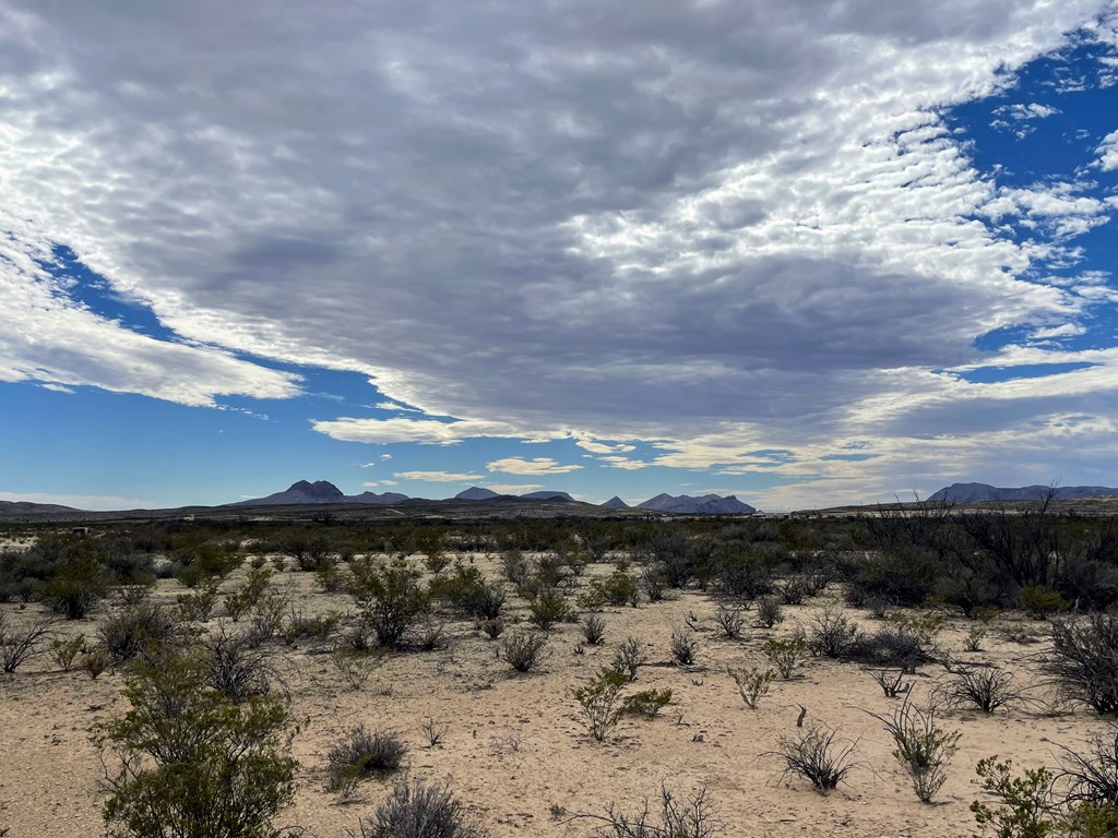 4073 Tennyson Desert Trail, Terlingua, Texas image 8