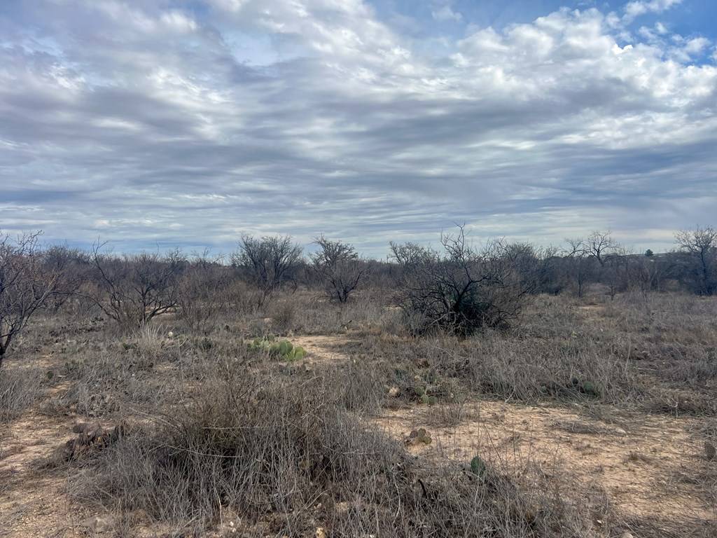 TBD Railway St, Marathon, Texas image 7